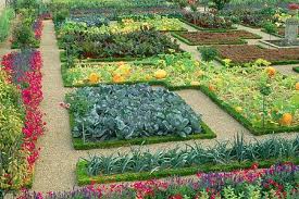 Gardening Plans on Chalking Out Vegetable Garden Plans