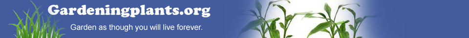 Vegetable Garden - Information and Resource Center